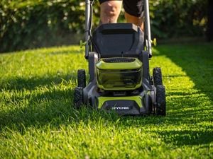 Mowing the lawn with a Ryobi brushless lawn mower