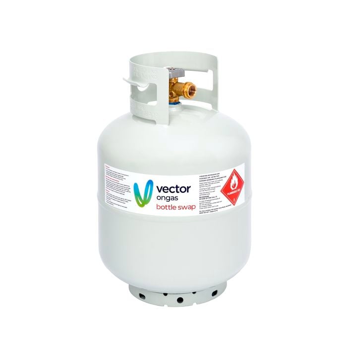 OnGas 9kg LPG Gas Bottle Swap - Bottle And Fill