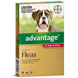 Advantage Flea Treatment For Dogs 10-25kg Red 1 Pack
