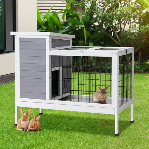 i.Pet Rabbit Hutch Wooden 96x49x86cm Bunnings Australia