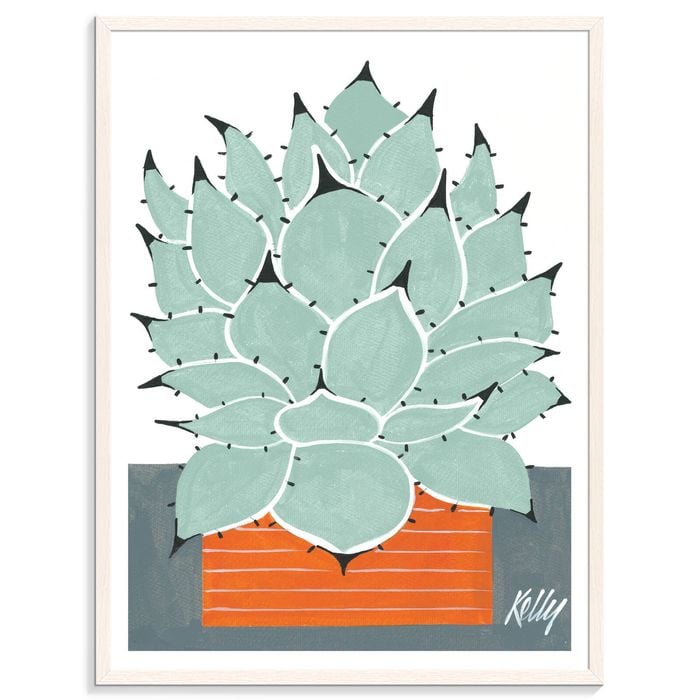 Artist Lane "MexiCan" by Kelly - 41x51cm White Framed Print