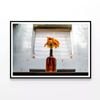 Flower Blooming In Vase Bottle  Print 100% Australian Made 120x90cm  (Poster)
