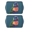 2PK Ashdene Matte Melamine Modern Birds Rainbow Lorikeet 21cm Scatter Tray