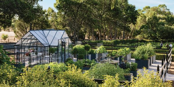 A greenhouse in a lush garden with raised vegetable beds and trees.