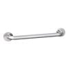 evekare 450mm Polished Stainless Steel Grab Rail