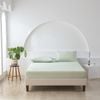 Essn 500tc Cotton Sateen Fitted Sheet Set Sage -king Bed