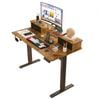 Advwin Adjustable Height Electric Standing Desk with Monitor Stand Walnut
