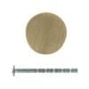Taskmaster 32.5mm Brushed Brass Knurled Cabinet Knob - 1 Pack