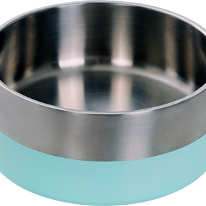 Baxter Bone Large Mint Stainless Steel Double Walled Pet Bowl