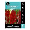 Bloomin' Bulbs Gladioli Fat Boy - 4 Pack