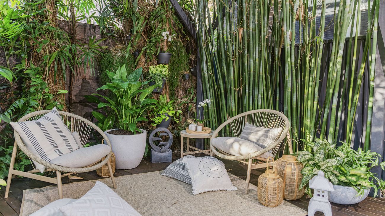 Outdoor setting, cushions, rugs, planst and bamboo in a covered area.