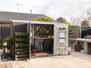 Dark shed in garden with doors open to show interior pegboard with tools attached and wooden desk