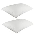 2PK Jason Commercial Coolmax Pillow Protector 48x73cm