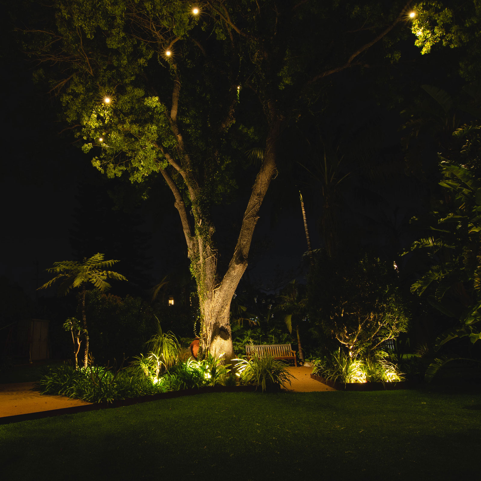 Holman Warm White Bluetooth Garden Light Controller With Inbuilt Transformer Bunnings Australia