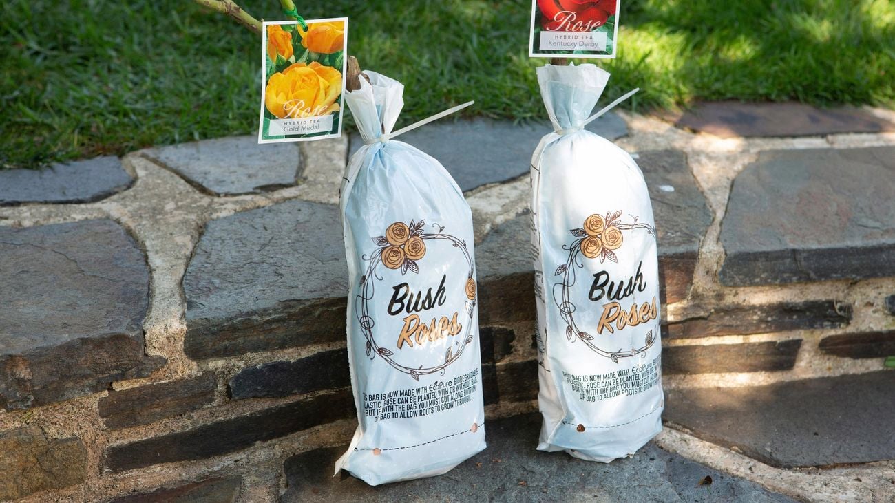 Two bags of bush roses sitting on a stone step
