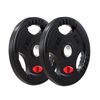 Fitnesslab 2x15kg Rubber Olympic Weight Plate Lifting Fitness Home Gym Crossfit