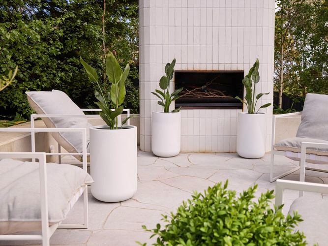 One easy
  way to make a style statement is to soldier the same contemporary Gavin
  Cylinder in White with Birds of Paradise. I/N: 0357819