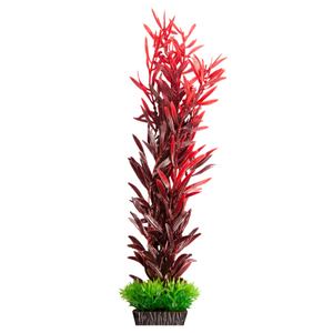 Aqua One Ecoscape Large Ludwigia Brevipes Red (28278)