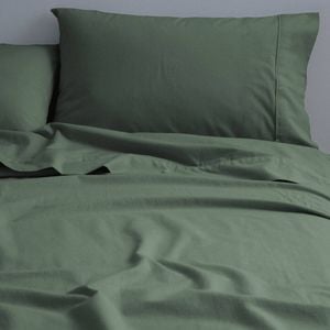 Canningvale King Single Cozi Cotton Sheet w/ Pillowcase Set - Spruce