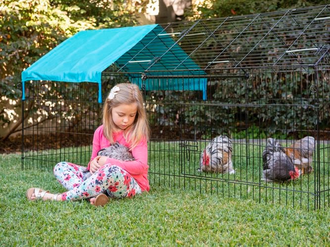 Chicken cages for backyard pets