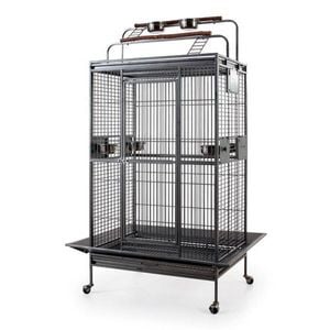 Classico Play Top Bird Parrot Cage