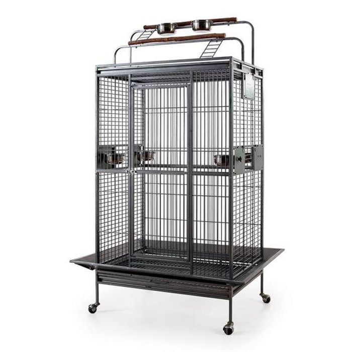 Classico Play Top Bird Parrot Cage