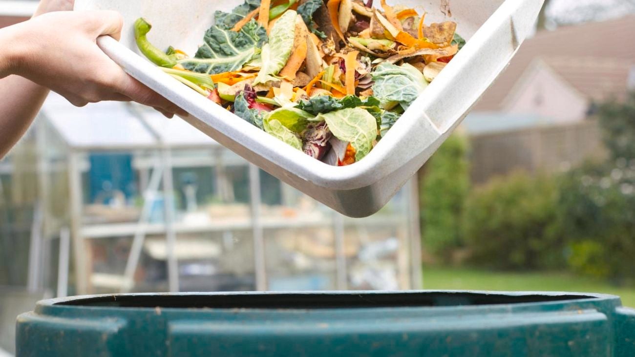 Food waste being poured into compost bin outside.