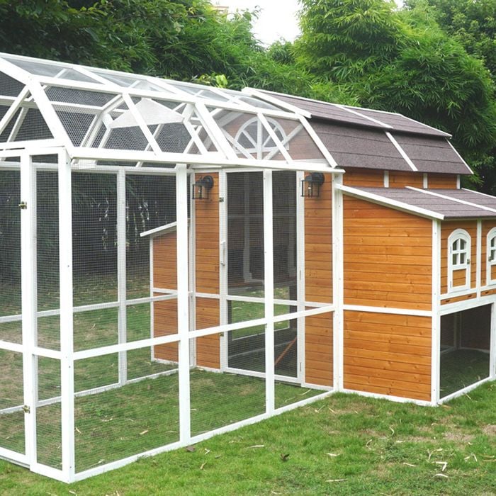 Super Grand Barn Walk In Chicken Coop
