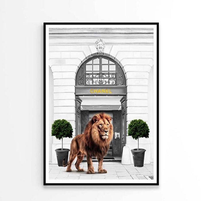 Black And White Fashion Store with Lion Print 100% Australian Made 90x120cm (Poster)