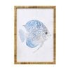 Lvd Coastal Ratten Framed Blue Fish Print Wall Hanging Decor 50x70cm Assorted