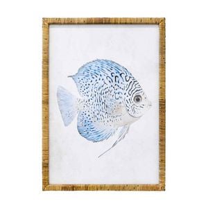 Lvd Coastal Ratten Framed Blue Fish Print Wall Hanging Decor 50x70cm Assorted