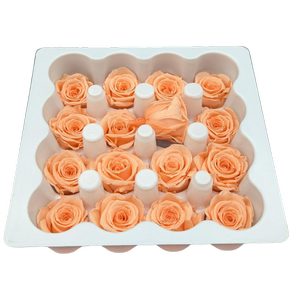 Blooms of Joy 2.5cm Peach Spray Roses 16 Pack