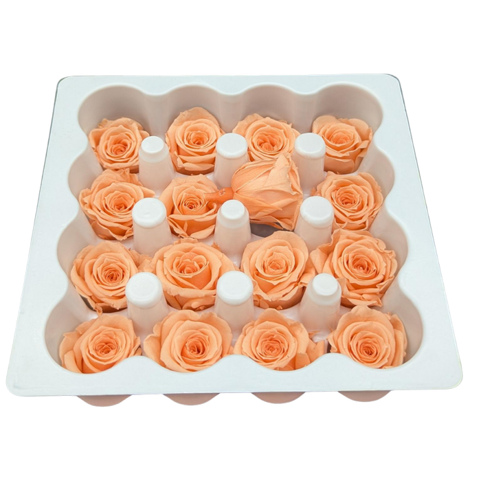 Blooms of Joy 2.5cm Peach Spray Roses 16 Pack