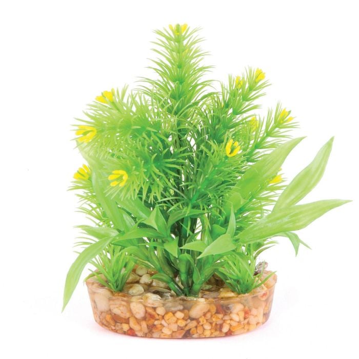 Kazoo Plush Bush - W/yellow Flower (19580)