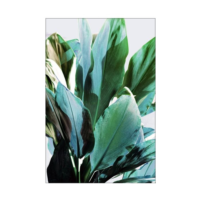 Artey | Green Leaves II - Stretched Canvas - Stretched Canvas - 100 x 150cm