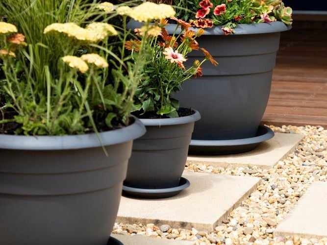 Grey plastic pots grouped with plants