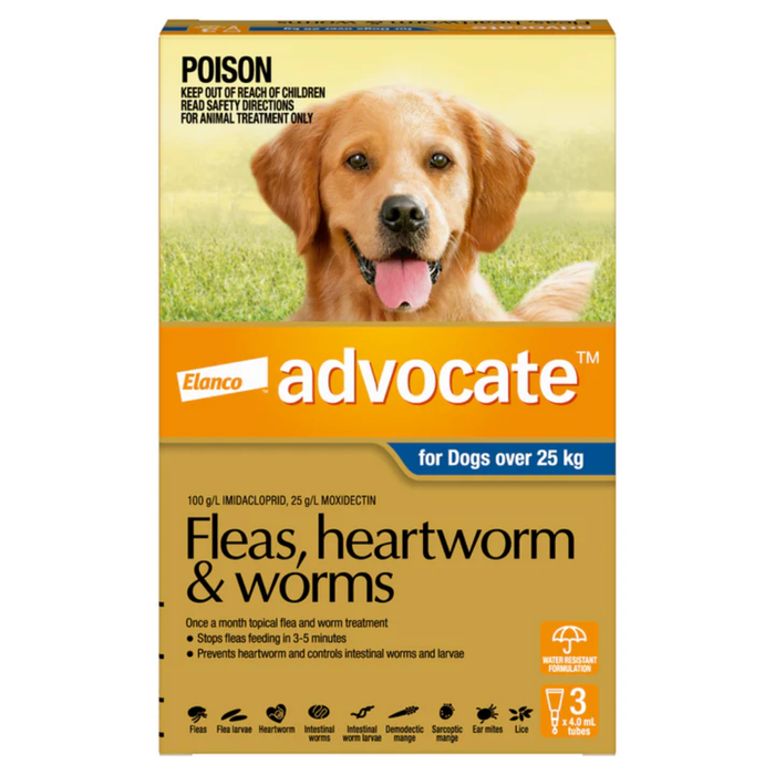 Advocate For Dogs XLarge Over 25kg - 3 Pack