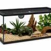 Deluxe Reptile Terrarium 50cm x 30cm x 30cm