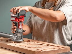 Plunger the Great Handihome Toilet Unblocker Gp101