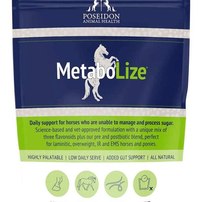 Poseidon Metabolize High Palatable Daily Support for Horses 90g