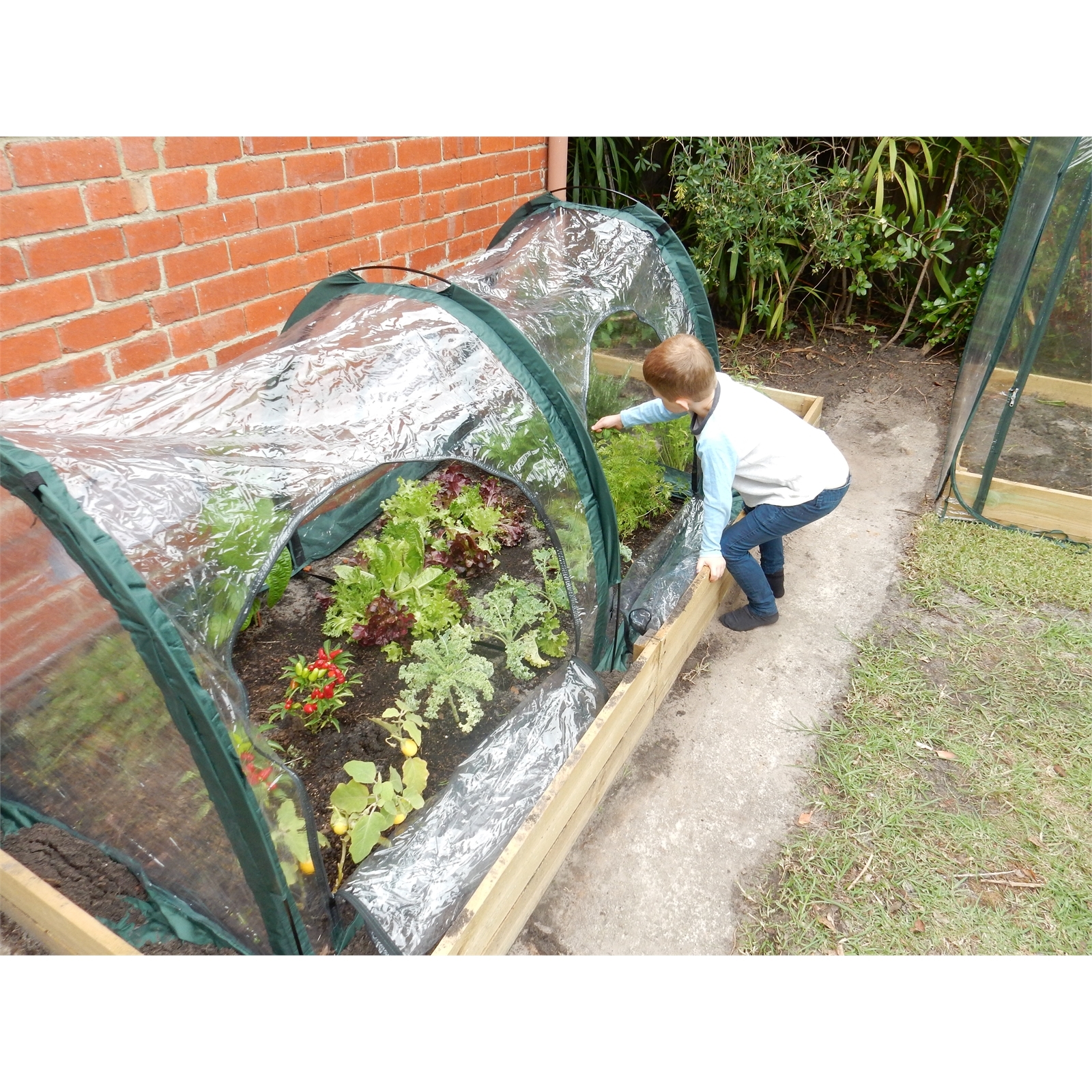 Bunnings kids tunnel online