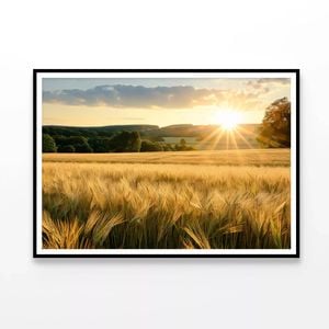 Summer with Golden Sun Meadow  Print 100% Australian Made 120x90cm  (Poster)