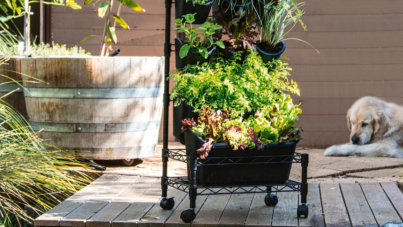 Holman ‘Green Wall’ mobile vertical garden