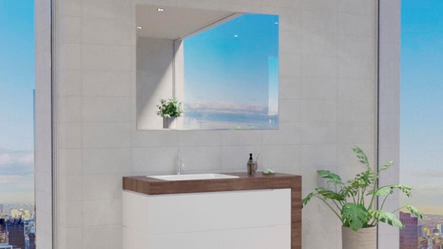 Bathroom with rectangle mirror along with wash basin, plant and white wall tiles.