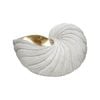 Decorative Resin 35cm Nautilus Shell XL - Aged White/Gold