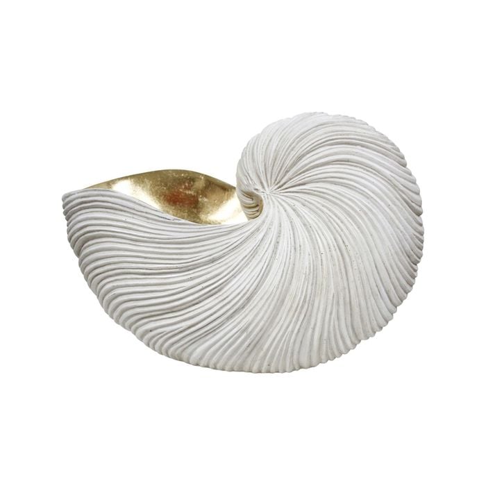Decorative Resin 35cm Nautilus Shell XL - Aged White/Gold