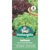 Fothergill's Red Green Salad Bowl Lettuce Vegetable Seeds