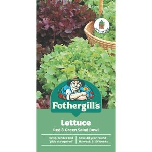 Fothergill's Red Green Salad Bowl Lettuce Vegetable Seeds
