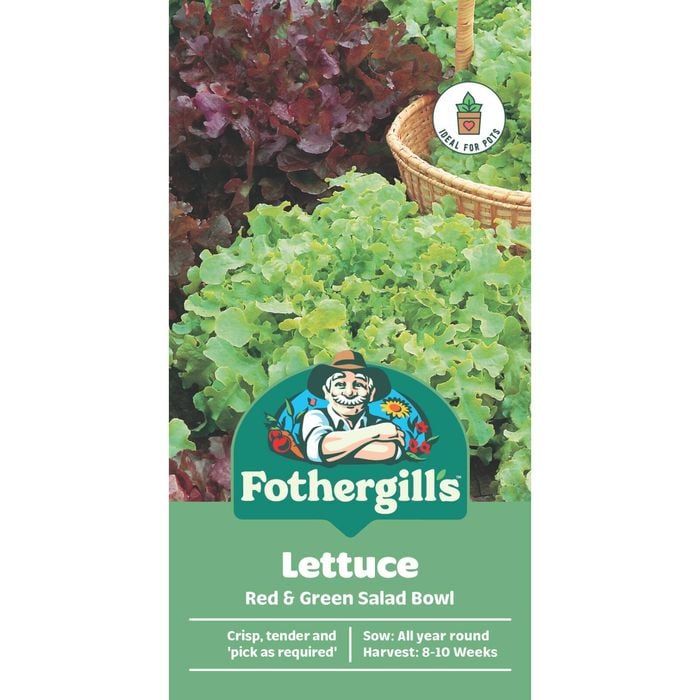 Fothergill's Red Green Salad Bowl Lettuce Vegetable Seeds