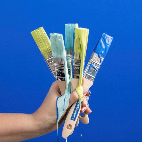 Pro
  Renovator wall brush not only provides a smooth finish on walls, but is also
  great for projects including weatherboards, fence posts and pergolas. I/N
  1661750